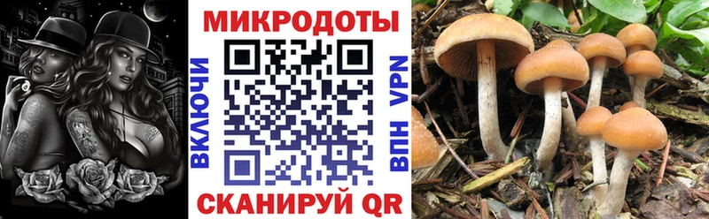 Псилоцибиновые грибы Magic Shrooms  купить закладку  Динская 
